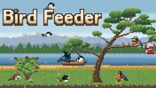 Bird Feeder