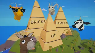 Bricks of Camels