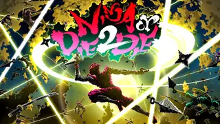 Ninja or Die 2 Die