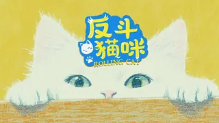 Magic Puzzle King 2: Rolling Cat
