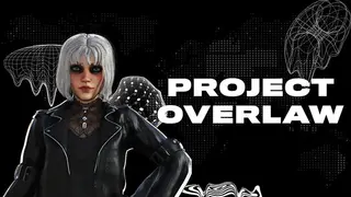 PROJECT OVERLAW