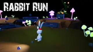Rabbit Run