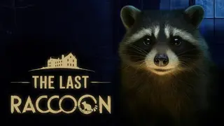 The Last Raccoon