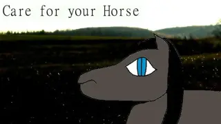 Care for your Horse