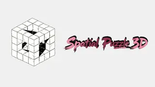 Spatial Puzzle 3D
