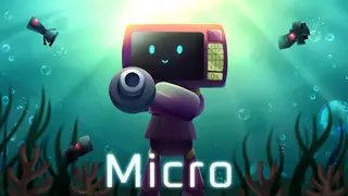 Micro