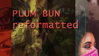 Plum Bun Reformatted