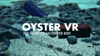 Oyster VR