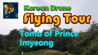 Korean Drone Flying Tour Tomb of Prince Imyeong - Switch