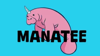 Manatee