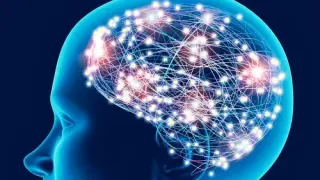 Photographic Memory Test - Switch