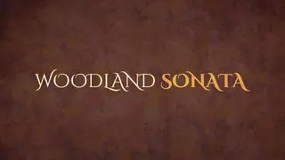 Woodland Sonata
