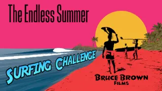 The Endless Summer Surfing Challenge