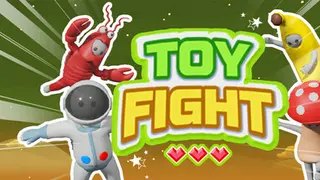 Toy Fight Special