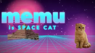 memu is space cat