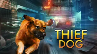 THIEF DOG
