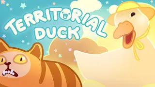 Territorial Duck