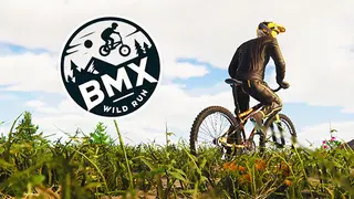 BMX Wild Run