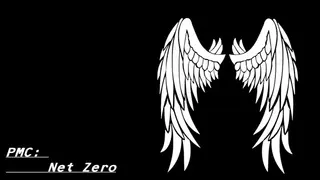PMC: Net Zero