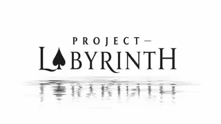 Project - Labyrinth
