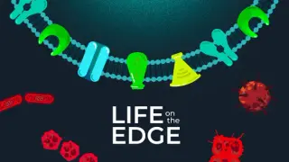 Life on the Edge