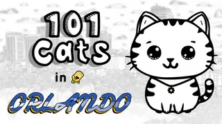 101 Cats in Orlando