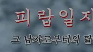 피랍 일지 - 그 남자로부터의 탈출
