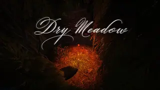 Dry Meadow