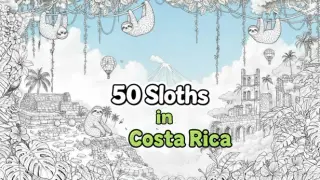 50 Sloths in Costa Rica