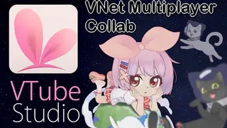 VTube Studio - VNet Multiplayer Collab
