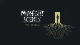 Midnight Scenes: From the Woods