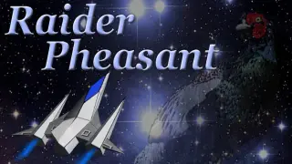 Raider Pheasant