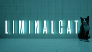 LIMINAL CAT