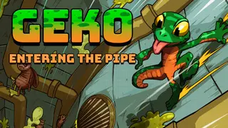 Geko: entering the pipe