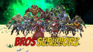 Bros Survivors