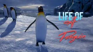 Life of a Penguin