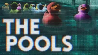 THE POOLS - Switch
