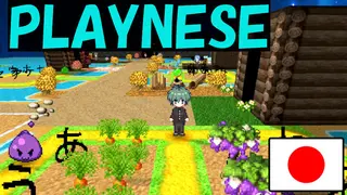 PLAYNESE: Master Japanese