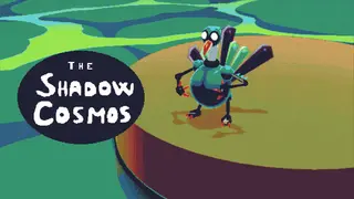 The Shadow Cosmos