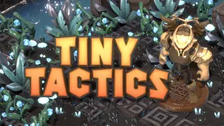 Tiny Tactics