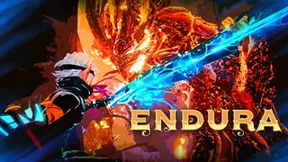 Endura Early Access