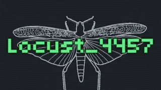 Locust_4457