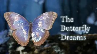 The Butterfly Dreams