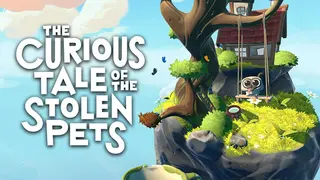 The Curious Tale of the Stolen Pets