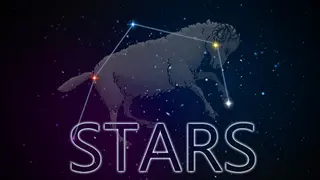 Stars