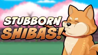 Stubborn Shibas