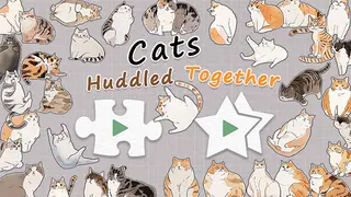 Cats Huddled Together 挤在一起的猫