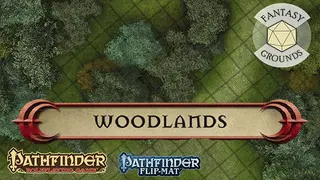 Fantasy Grounds - Pathfinder RPG - Pathfinder Flip-Mat - Classic Woodlands