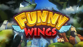 Funny Wings