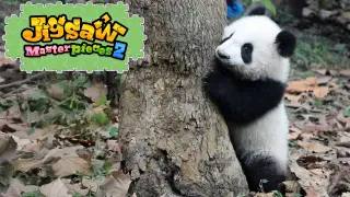 Animal Youngsters - Switch
